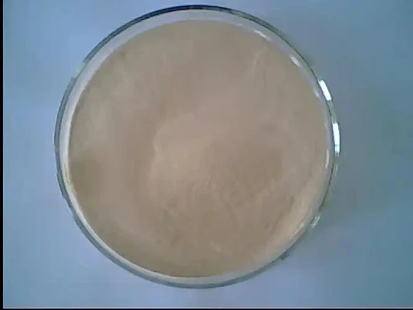 Manganese carbonate Manganese carbonate